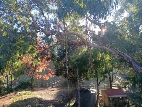 Bells Estate Great Ocean Road Cottages - C Tourism 3