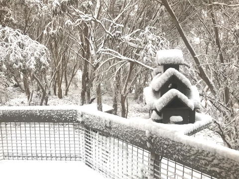 Belltrees - C Tourism 1
