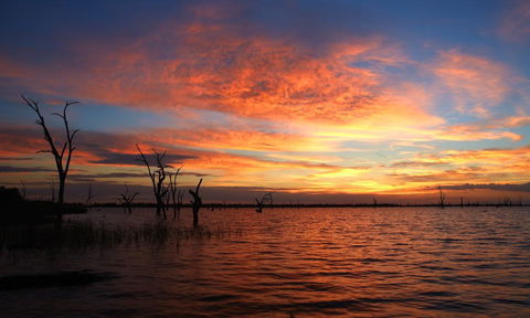 BIG4 NRMA Yarrawonga Mulwala Holiday Park - C Tourism 0