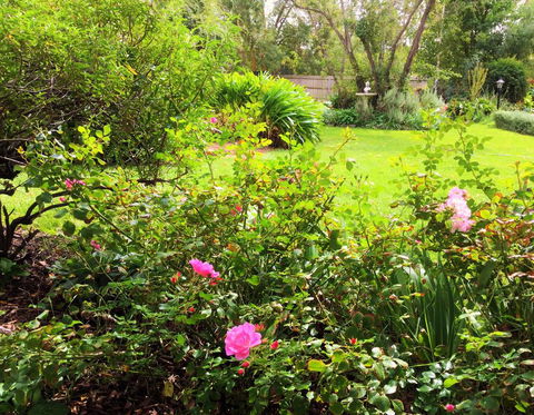 Bindley House B&B Cottage - C Tourism 2