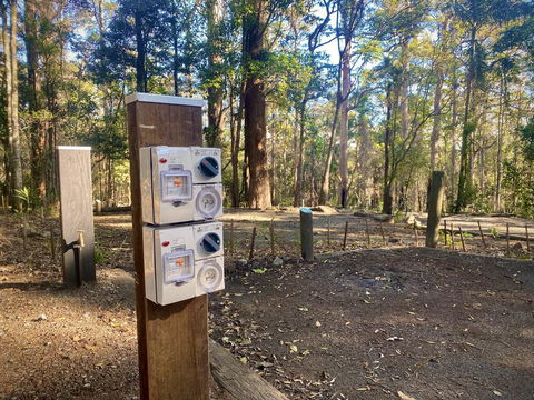 Binna Burra Rainforest Campsite - C Tourism 1