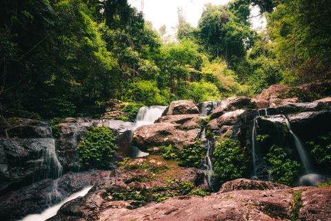 Binna Burra Rainforest Campsite - C Tourism 3