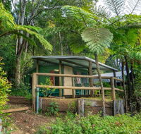Binna Burra Rainforest Campsite - C Tourism