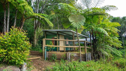 Binna Burra Rainforest Campsite - C Tourism 0