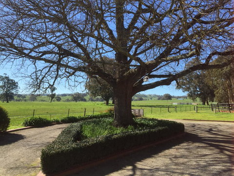 Birchwood Cottage - C Tourism 1