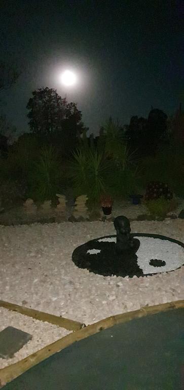 Birdhouse Cottage B&B - C Tourism 1