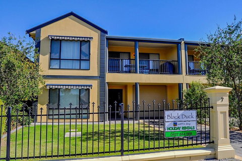 Black Duck - C Tourism 0