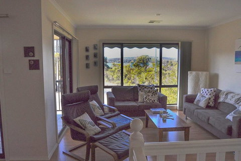 Black Duck - C Tourism 2