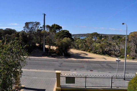 Black Duck - C Tourism 3