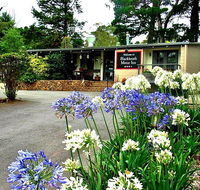 Blackheath Motor Inn - C Tourism