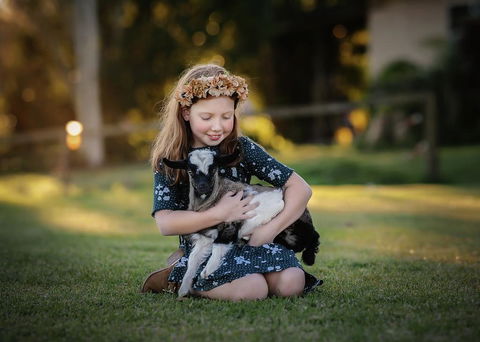 Blackwattle Farm - C Tourism 1