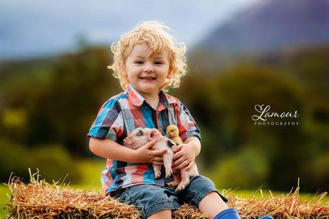 Blackwattle Farm - C Tourism 0