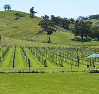 Blue House at Mountainside Wines - C Tourism