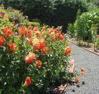 Boat Harbour Garden Cottages - C Tourism