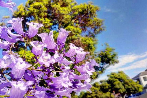 Big Perth (Private) Day Tour - C Tourism 3