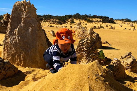 Perth Kids Explorer (Private) Day Tour - C Tourism 3