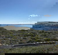 Penguin Island And Fremantle - Canoe Chocolate  Coffee - C Tourism