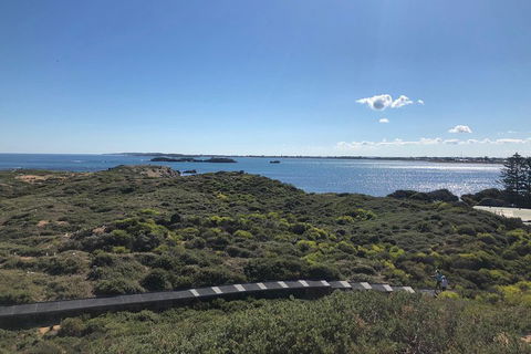 Penguin Island And Fremantle - Canoe, Chocolate & Coffee - C Tourism 0