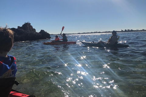 Penguin Island And Fremantle - Canoe, Chocolate & Coffee - C Tourism 1