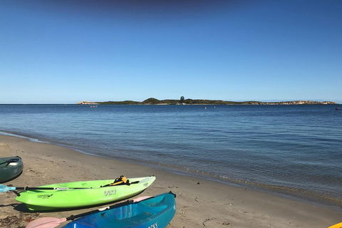 Penguin Island And Fremantle - Canoe, Chocolate & Coffee - C Tourism 2
