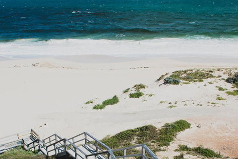 Yanchep & Lancelin - Wildlife, Cave And Sands - C Tourism 5