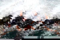 Book Viator Accommodation Vacations C Tourism C Tourism