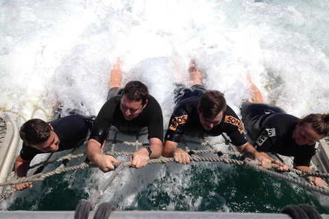 Cruise In Moreton Bay Marine Park And Moreton Island - C Tourism 0