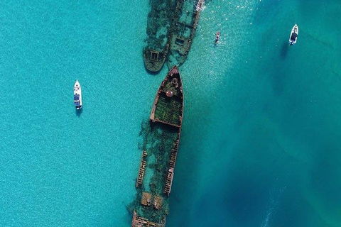 Cruise In Moreton Bay Marine Park And Moreton Island - C Tourism 1