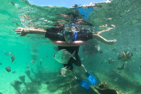 Cruise In Moreton Bay Marine Park And Moreton Island - C Tourism 5