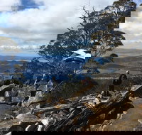 kunanyi / Mt Wellington Explorer Bus - 2 Hour Return Tour - C Tourism