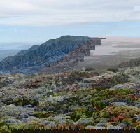 kunanyi/Mt Wellington Explorer Bus - One Way Tour - C Tourism