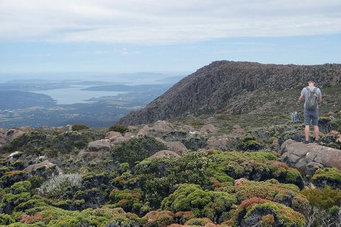 Kunanyi/Mt Wellington Explorer Bus - One Way Tour - C Tourism 0
