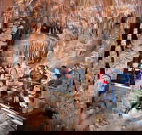 Private Tour Jenolan Caves  Blue Mountains in a day - C Tourism