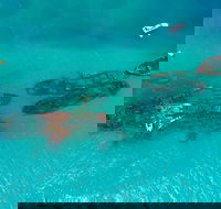 Private Tangalooma Wrecks Tour - C Tourism