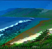 Cairns Reef and Rainforest Combo Daintree Rainforest and the Great Barrier Reef - C Tourism