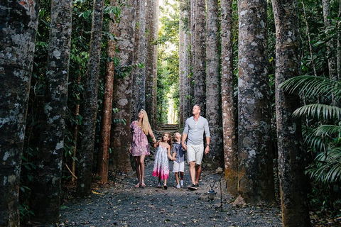 Paronella Park And Millaa Millaa Falls Full-day Tour From Cairns - C Tourism 5