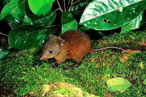 3-Day Small-Group Tour Of North Queensland With Pick Up - C Tourism 0