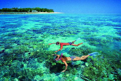 4-Day Cairns With Great Barrier Reef And Daintree Rainforest - C Tourism 2