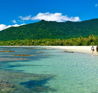 Private Daintree National Park Day Tour from Cairns Including Cape Tribulation and Mossman Gorge - C Tourism