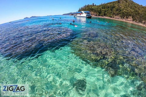Whitehaven Beach Day Tour With Snorkel In Whitsundays Island - C Tourism 5