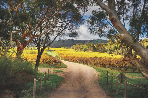 McLaren Vale Winery Small Group Tour With Wine Tasting And Lunch - C Tourism 1