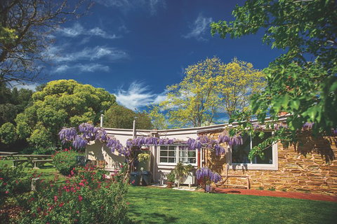 McLaren Vale Winery Small Group Tour With Wine Tasting And Lunch - C Tourism 2