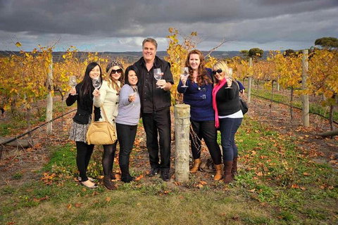 McLaren Vale Winery Small Group Tour With Wine Tasting And Lunch - C Tourism 3