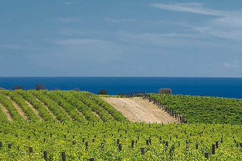 McLaren Vale Winery Small Group Tour With Wine Tasting And Lunch - C Tourism 4