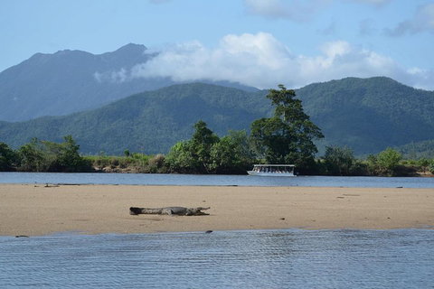 Afternoon Half-Day Daintree Rainforest And River Tour - C Tourism 2