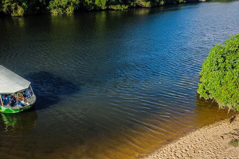 Afternoon Half-Day Daintree Rainforest And River Tour - C Tourism 3