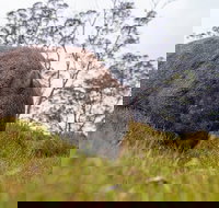 3-Day Cradle Mountain Photography Workshop - C Tourism