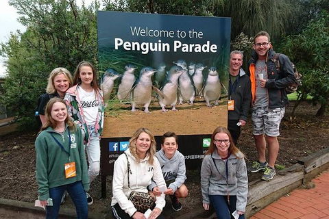 Phillip Island Medium Size Group Tour - C Tourism 5