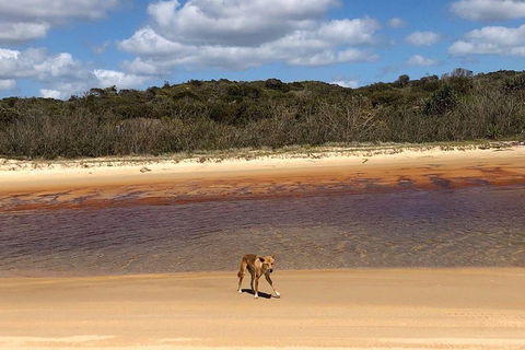 Pippies 3 Days 2 Nights Fraser Island Tour - C Tourism 2