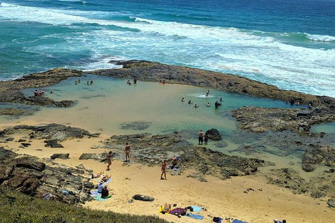 Pippies 3 Days 2 Nights Fraser Island Tour - C Tourism 5